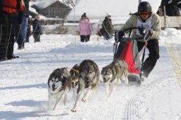 Lenk 2012 SM
